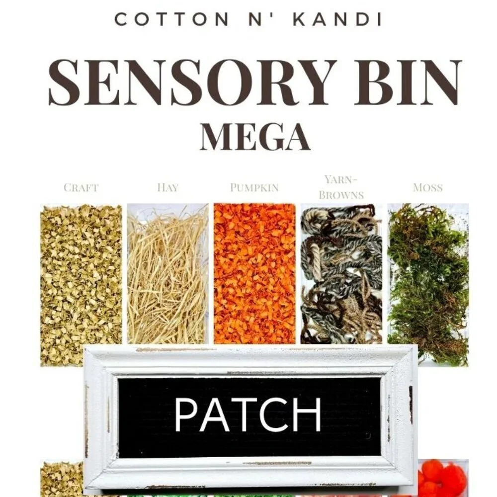 Sensory Bin | PUMPKIN PATCH | Educational Activity, Stim Toy, Toddler Gift Idea